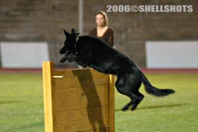 Ozzi over the jump